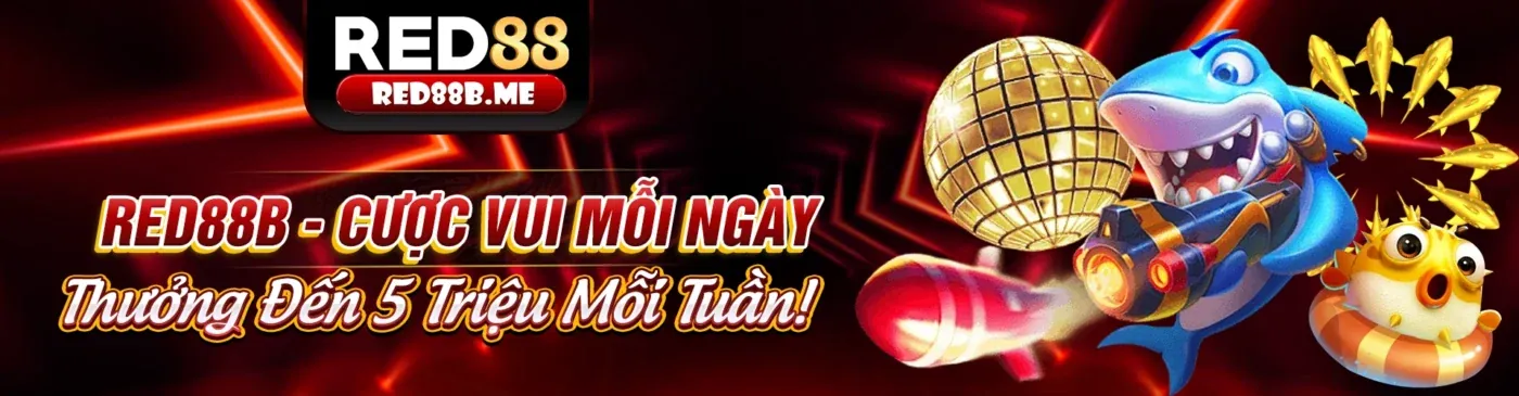 Chiến thuật cá cược thể thao hiệu quả tại VMAX